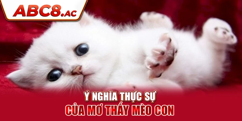 y-nghia-thuc-su-cua-mo-thay-meo-con-