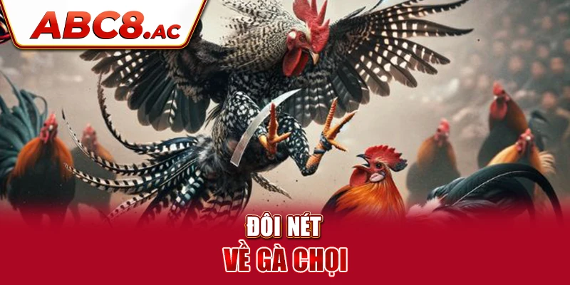 doi-net-ve-ga-choi