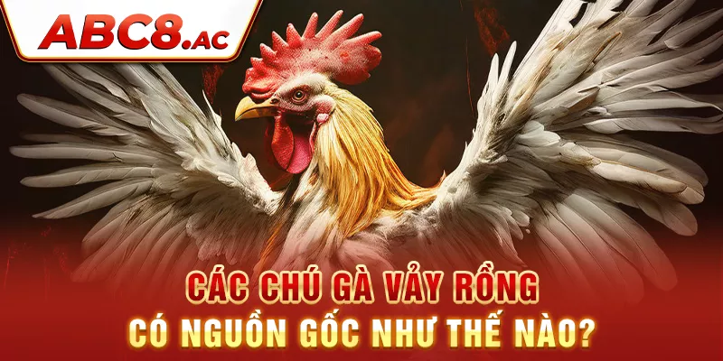 cac-chu-ga-vay-rong-co-nguon-goc-nhu-the-nao